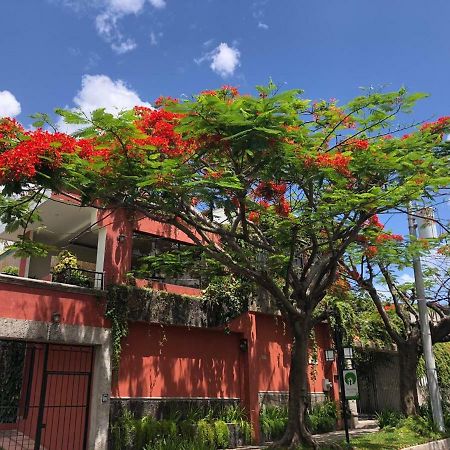 סאן סלבדור Hotel Arbol De Fuego מראה חיצוני תמונה