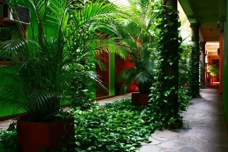 סאן סלבדור Hotel Arbol De Fuego מראה חיצוני תמונה
