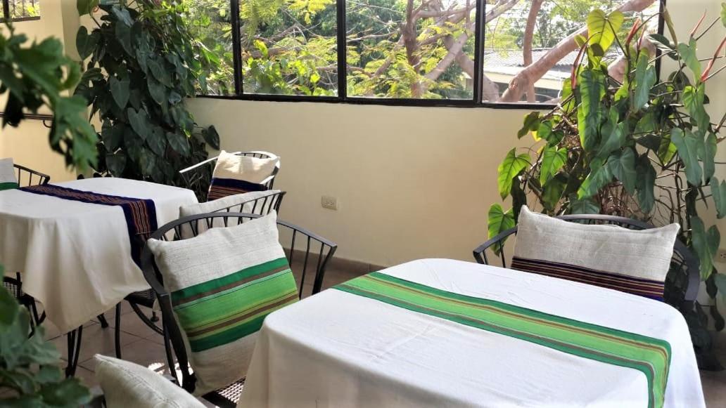 סאן סלבדור Hotel Arbol De Fuego מראה חיצוני תמונה