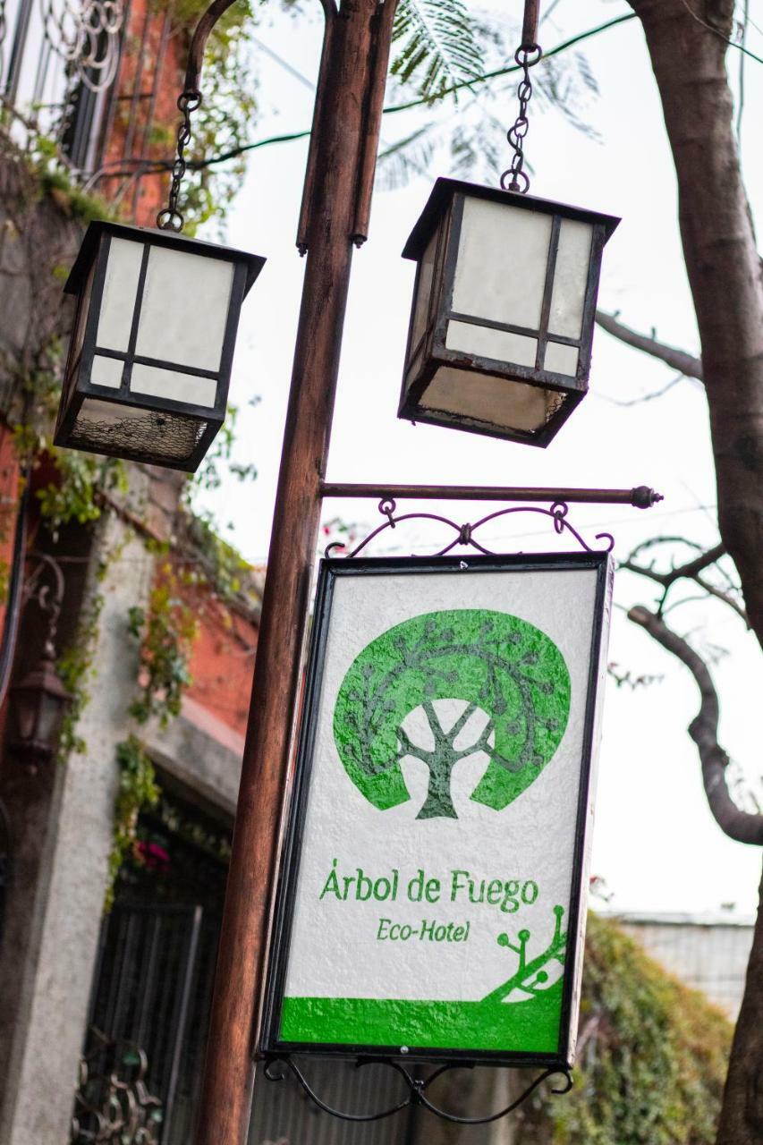 סאן סלבדור Hotel Arbol De Fuego מראה חיצוני תמונה